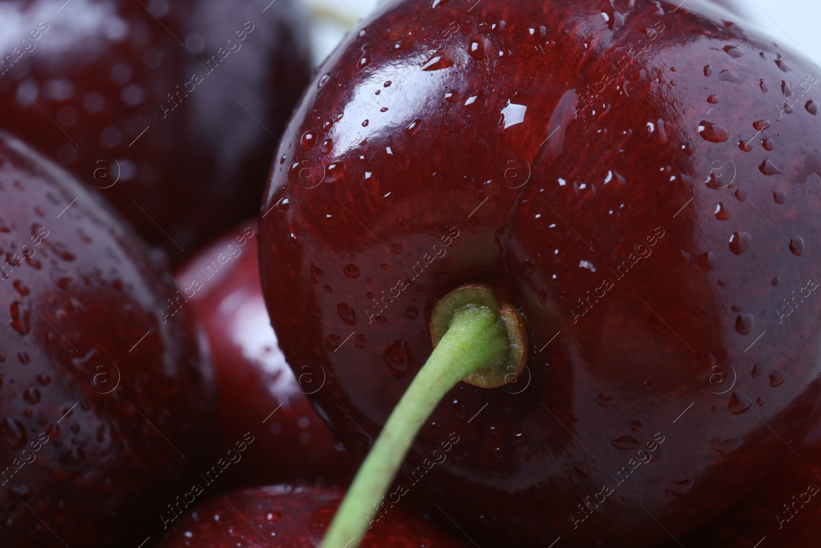 Photo of Ripe cherries with water drops as background, macro view. Fresh berry