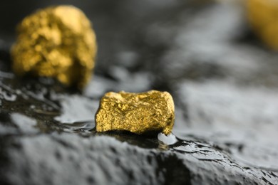 Shiny gold nugget on wet stone, closeup