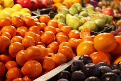 Photo of Many different fresh fruits on counter at market, closeup