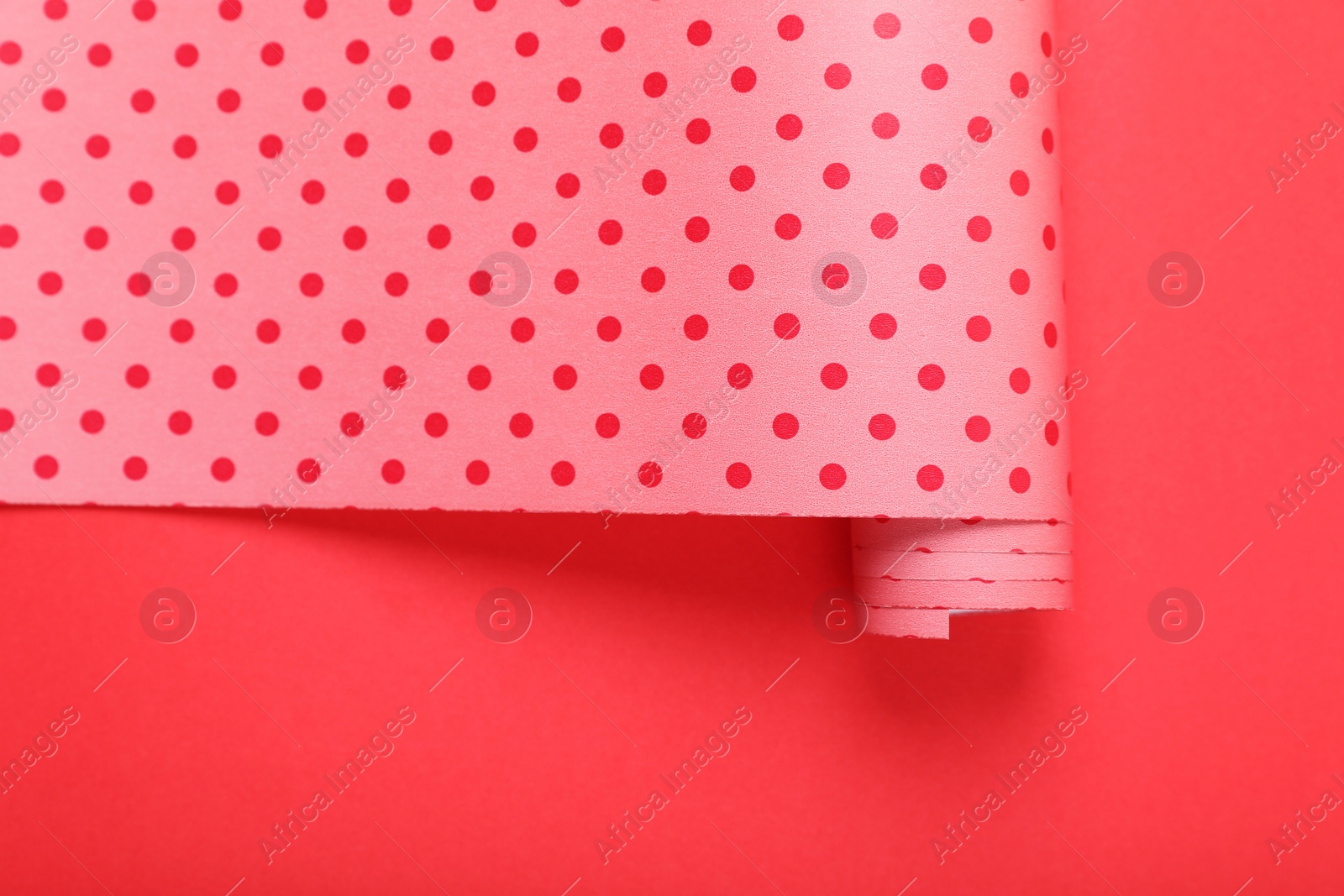 Photo of Roll of polka dot wrapping paper on red background, top view
