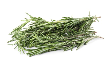 Photo of Fresh green rosemary twigs on white background