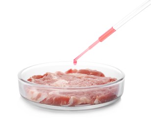 Dripping sample onto piece of raw cultured meat on white background