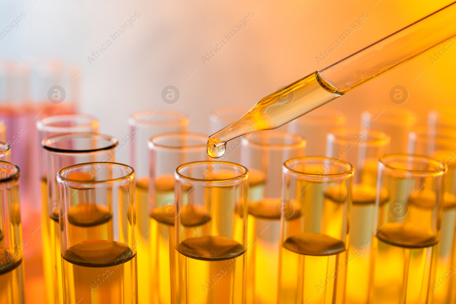 Photo of Dropping sample into test tube with liquid, closeup. Color tone effect