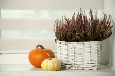 Photo of Beautiful heather flowers in basket and pumpkins on white windowsill indoors, space for text