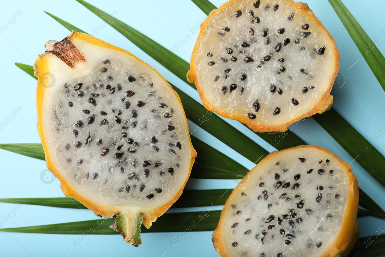 Photo of Delicious cut dragon fruits (pitahaya) and tropical leaf on light blue background, flat lay