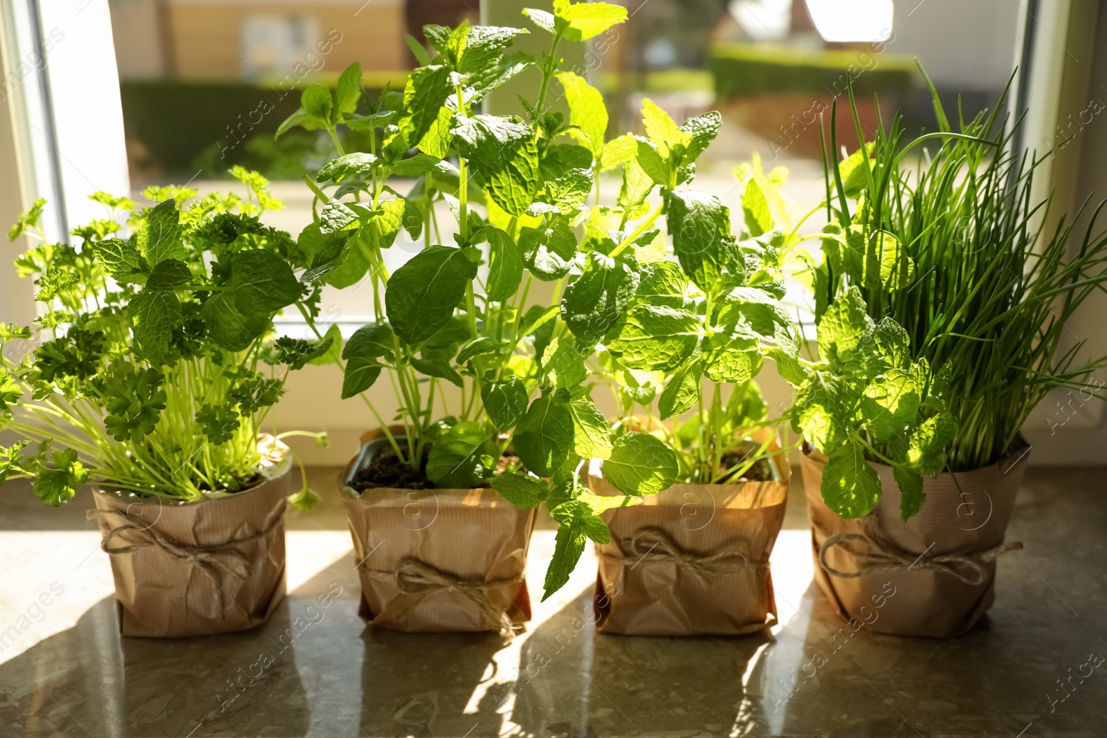 Photo of Different aromatic potted herbs on windowsill indoors