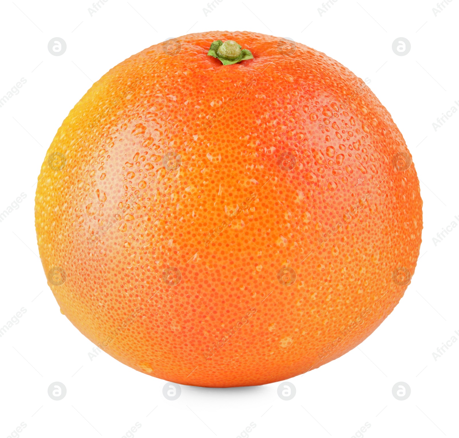 Photo of Fresh ripe grapefruit with water drops isolated on white. Citrus fruit