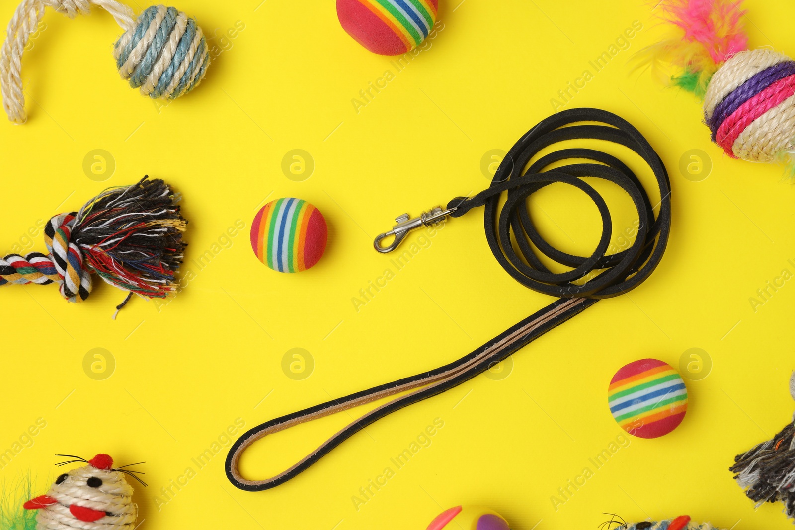 Photo of Flat lay composition with pet leash and toys on yellow background