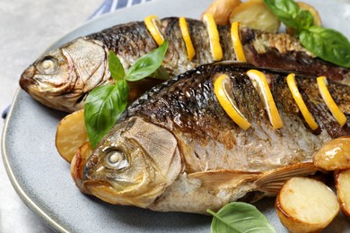 Tasty homemade roasted crucian carps with garnish on light grey table, closeup. River fish