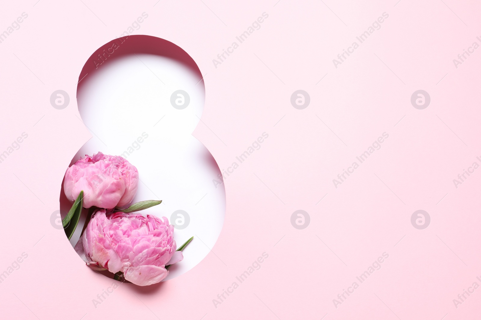 Photo of 8 March greeting card design with pink peony flowers and space for text, top view. Happy International Women's Day