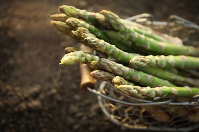 Photo of Metal basket with fresh asparagus on ground outdoors, closeup