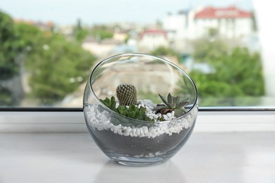 Glass florarium with different succulents on windowsill