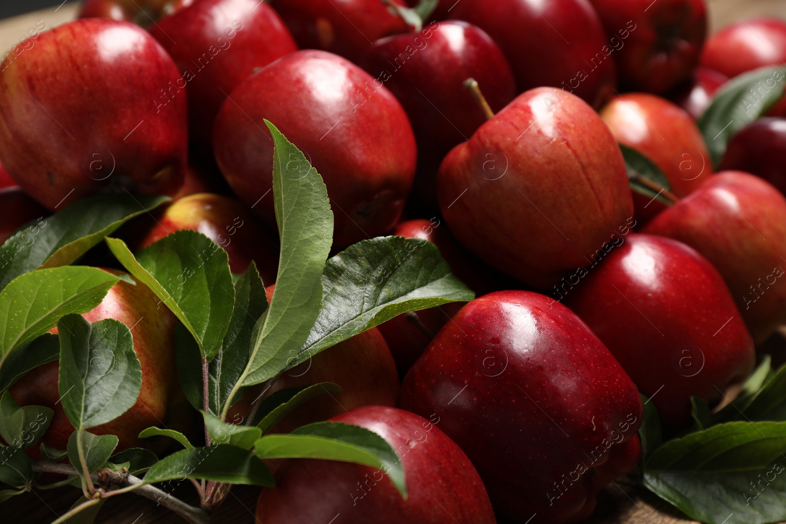 Photo of Fresh ripe red apples with leaves as background, closeup