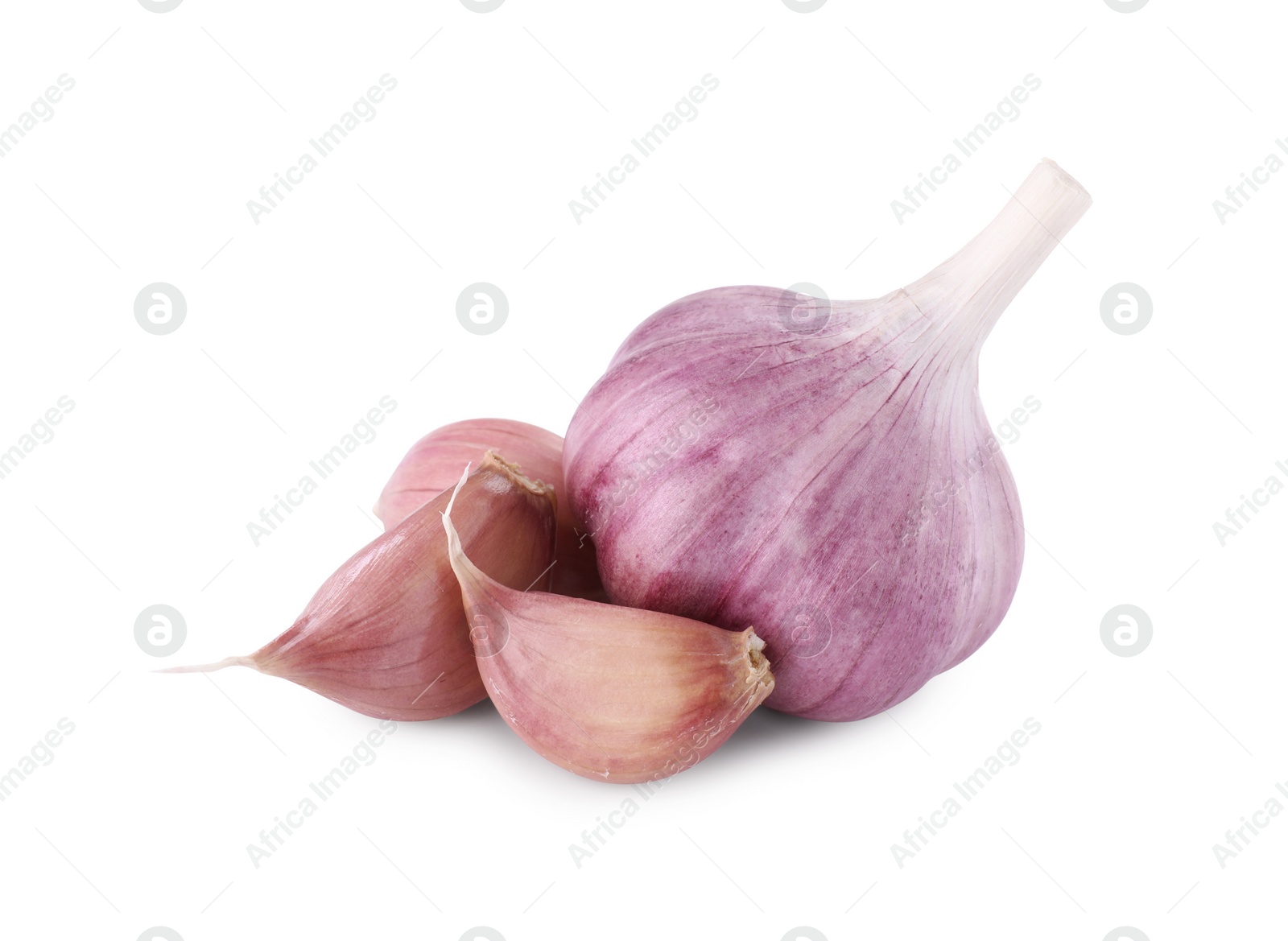 Photo of Fresh raw garlic head and cloves isolated on white