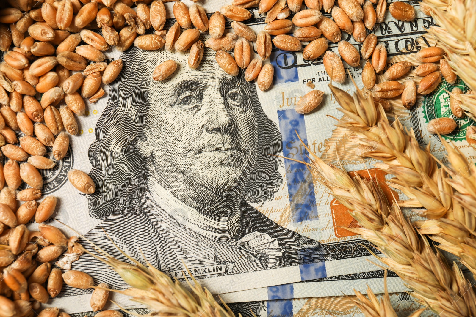 Photo of Dollar banknotes, wheat ears and grains, closeup. Agricultural business