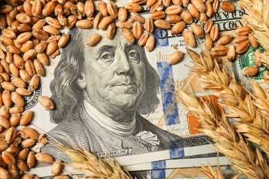 Photo of Dollar banknotes, wheat ears and grains, closeup. Agricultural business