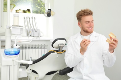 Photo of Professional dentist holding jaws model in clinic. Space for text