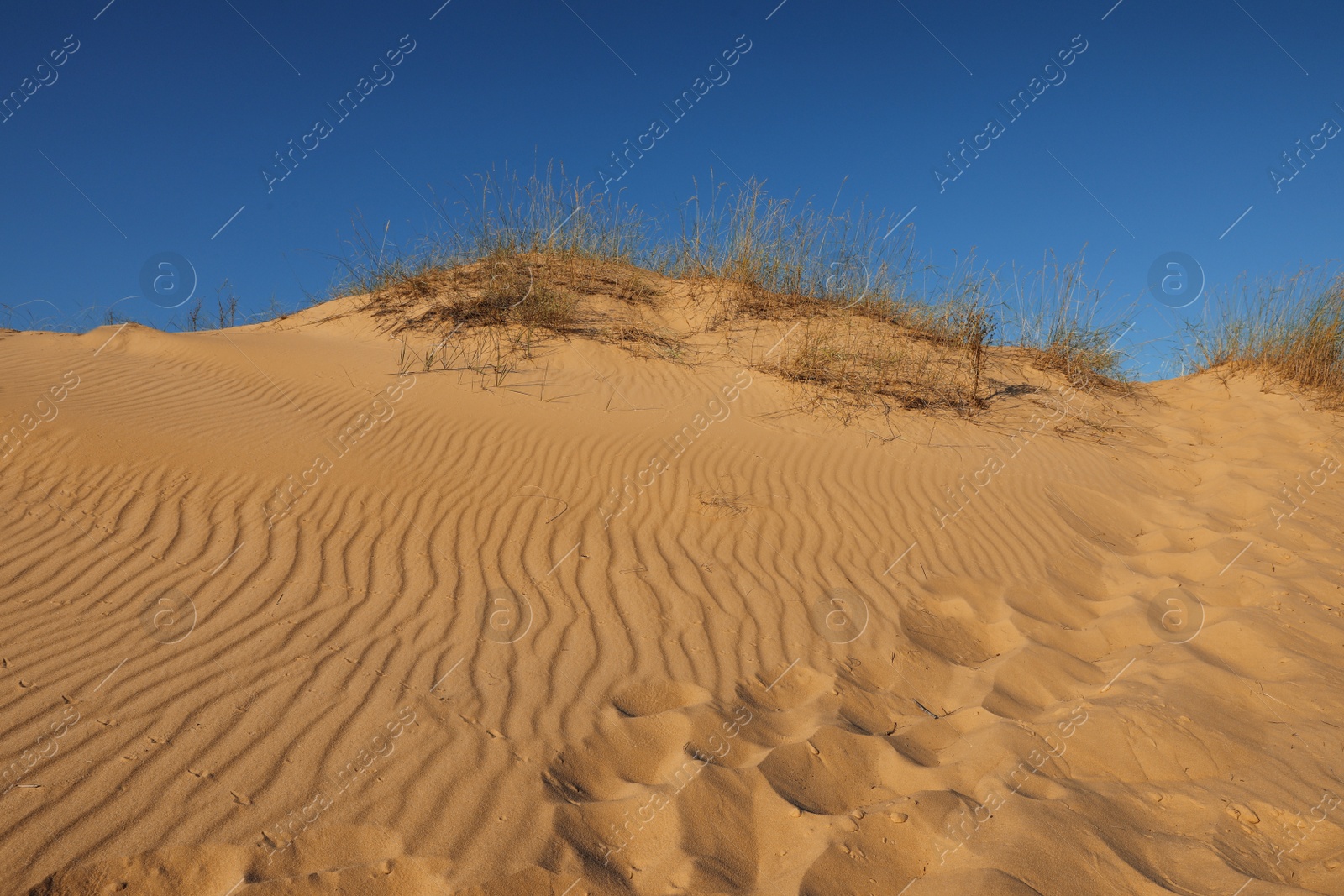 Photo of Picturesque view of desert on sunny day