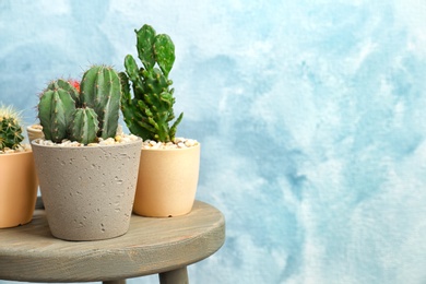 Photo of Beautiful cacti on table against color background