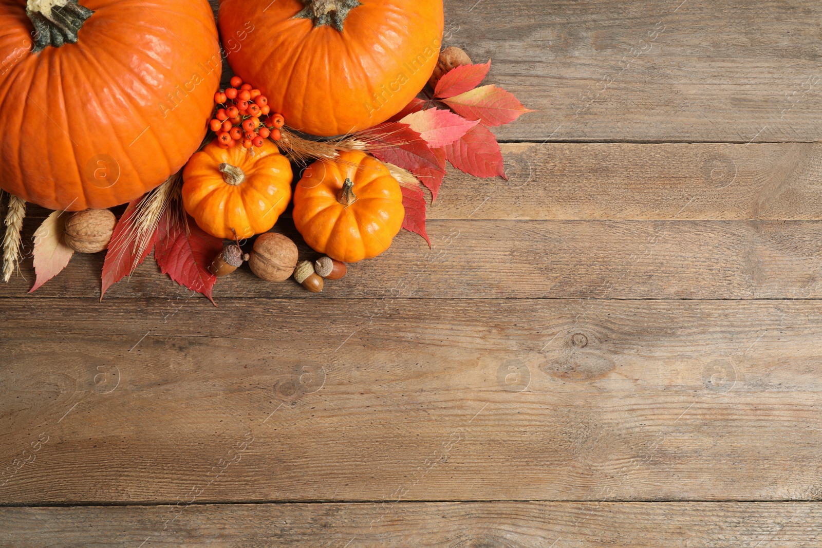 Photo of Flat lay composition with ripe pumpkins and autumn leaves on wooden table, space for text. Happy Thanksgiving day