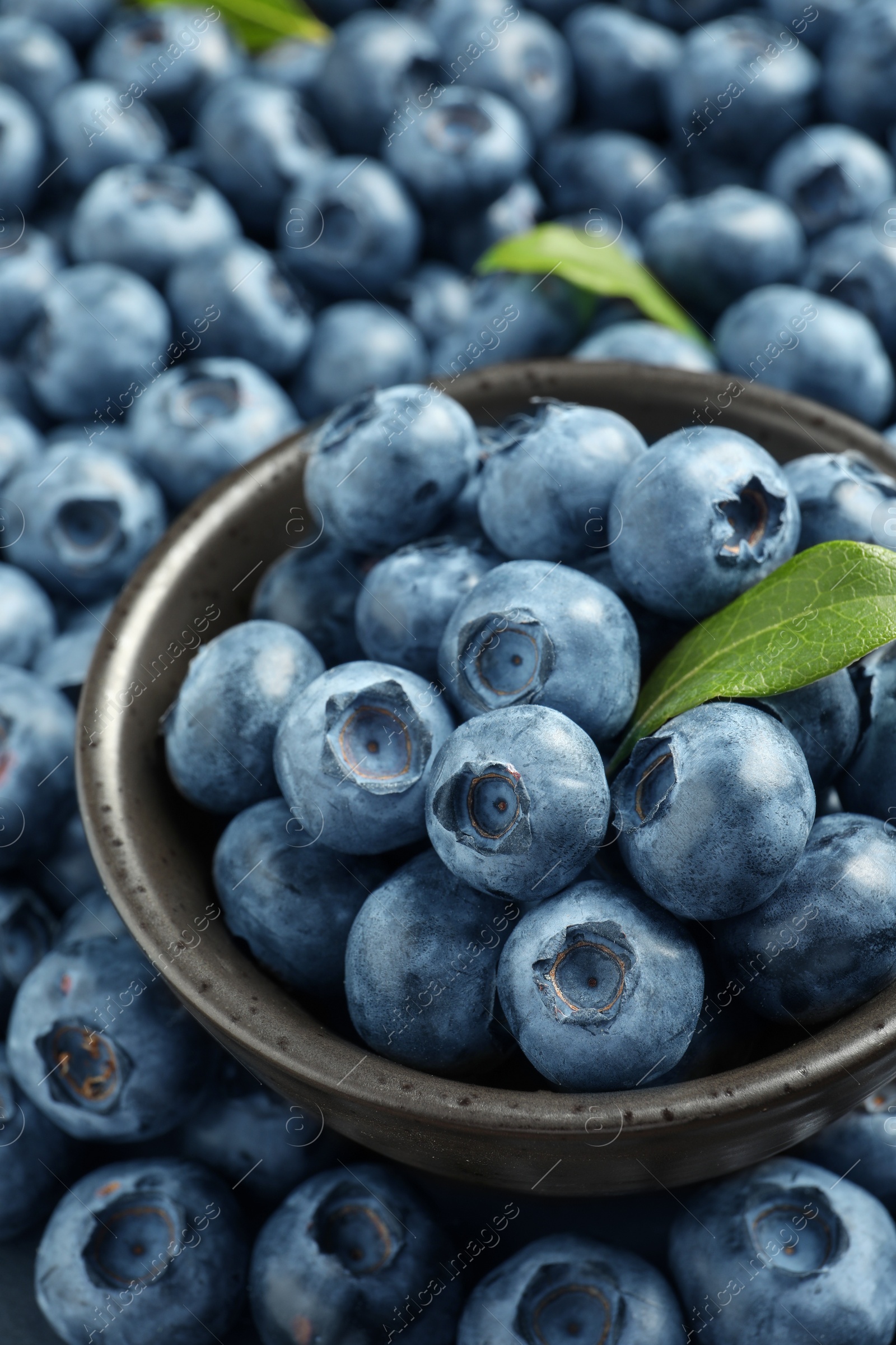 Photo of Tasty fresh blueberries and bowl, closeup view