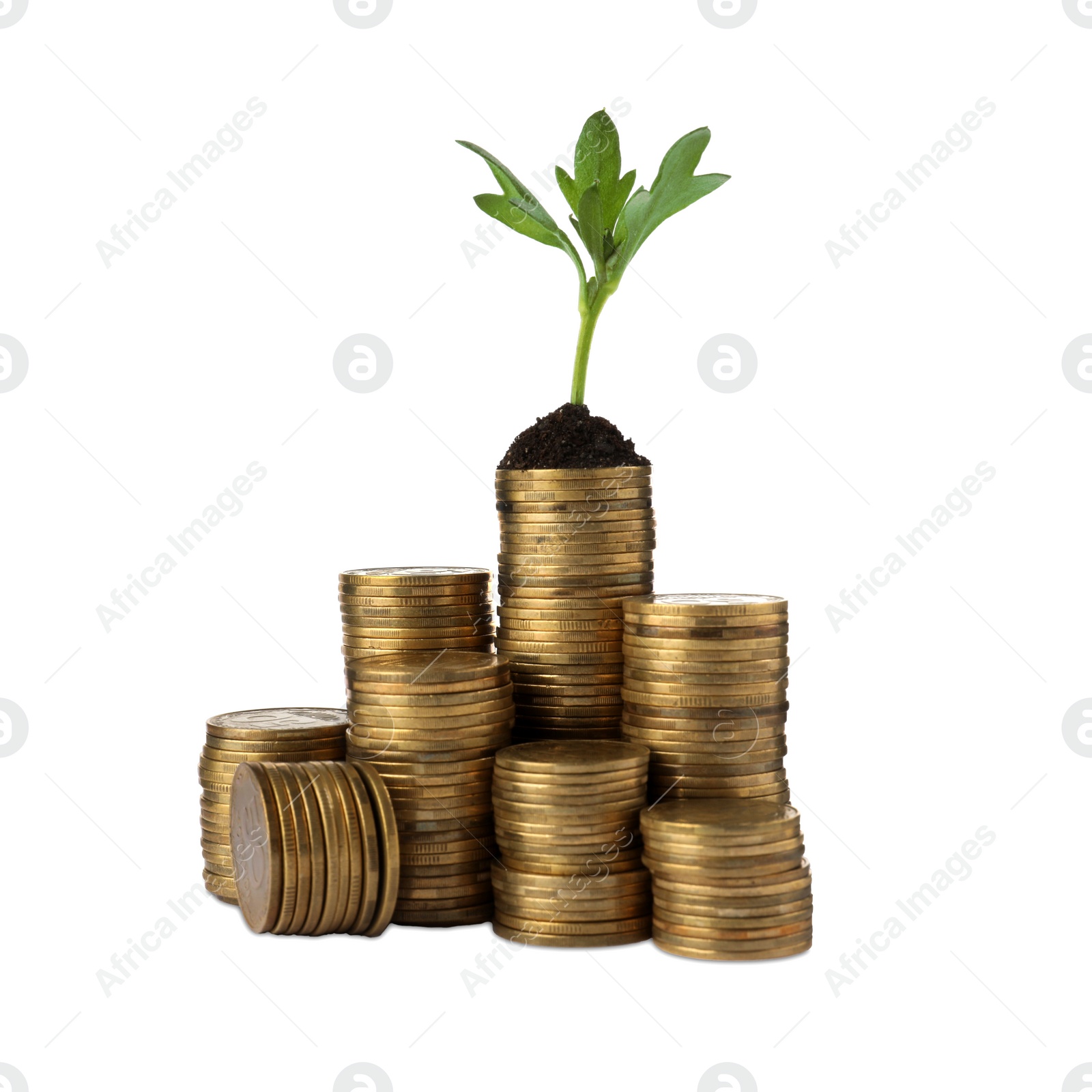 Photo of Stacks of coins and green plant on white background. Investment concept