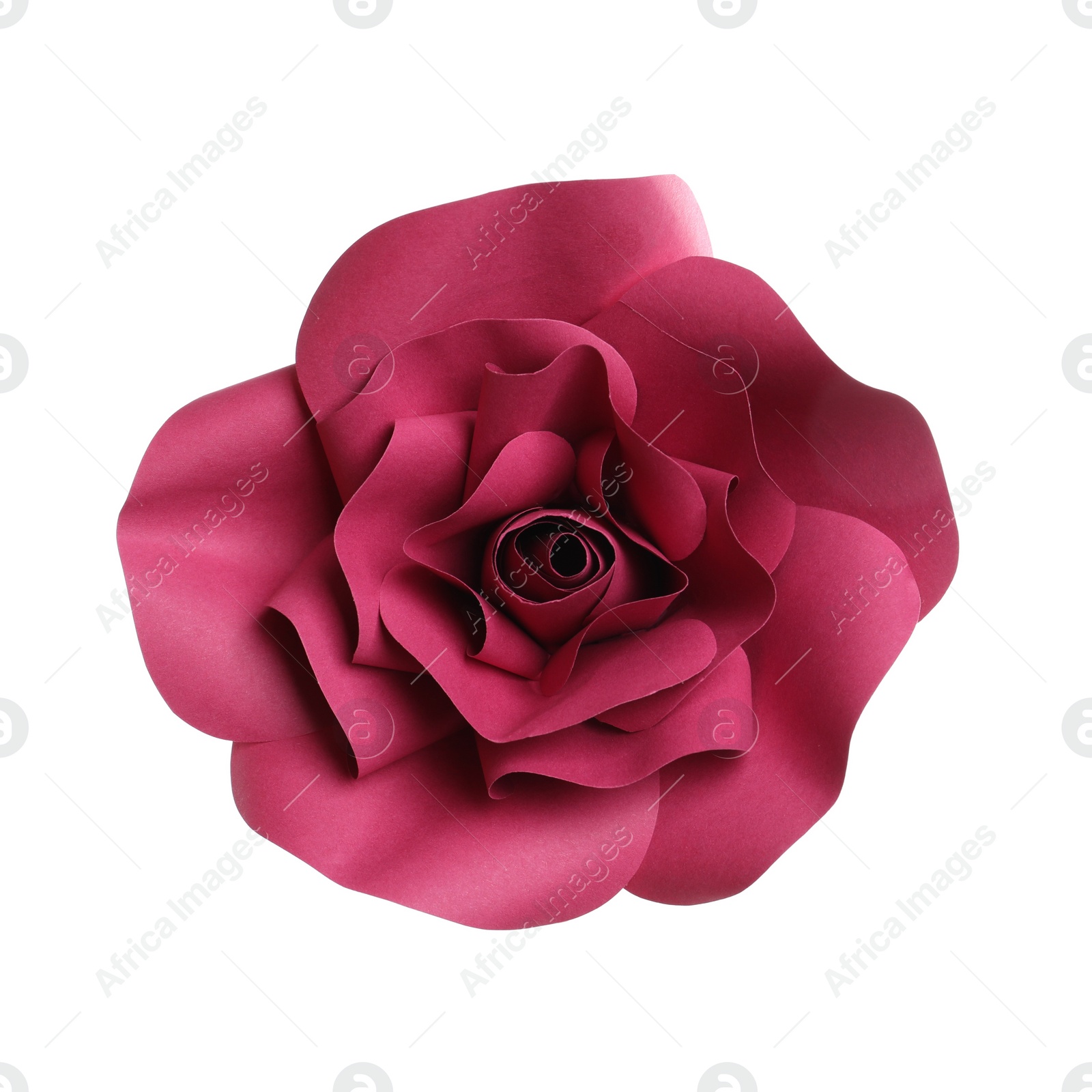 Photo of Beautiful red flower made of paper isolated on white