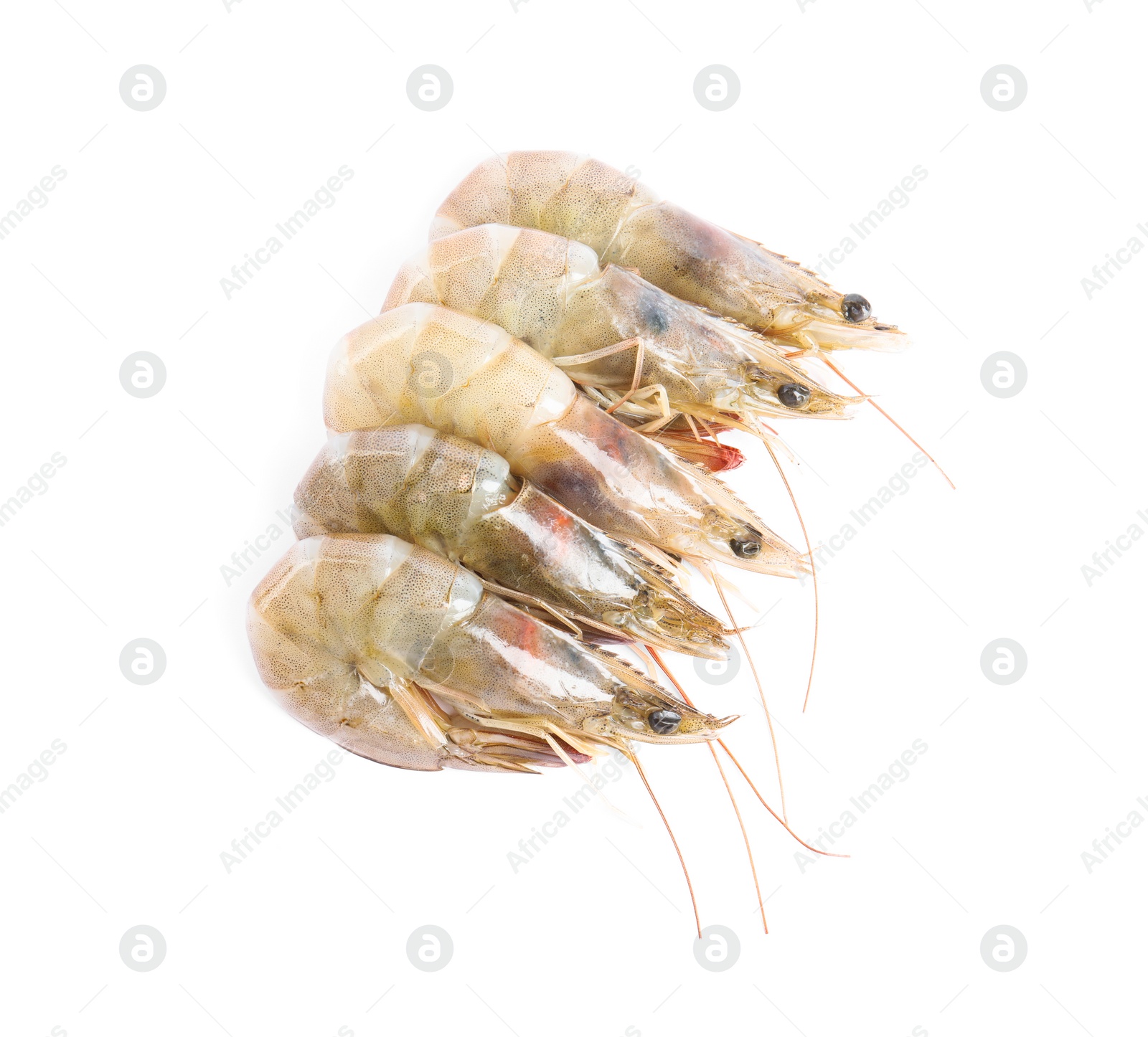 Photo of Fresh raw shrimps isolated on white, top view. Healthy seafood