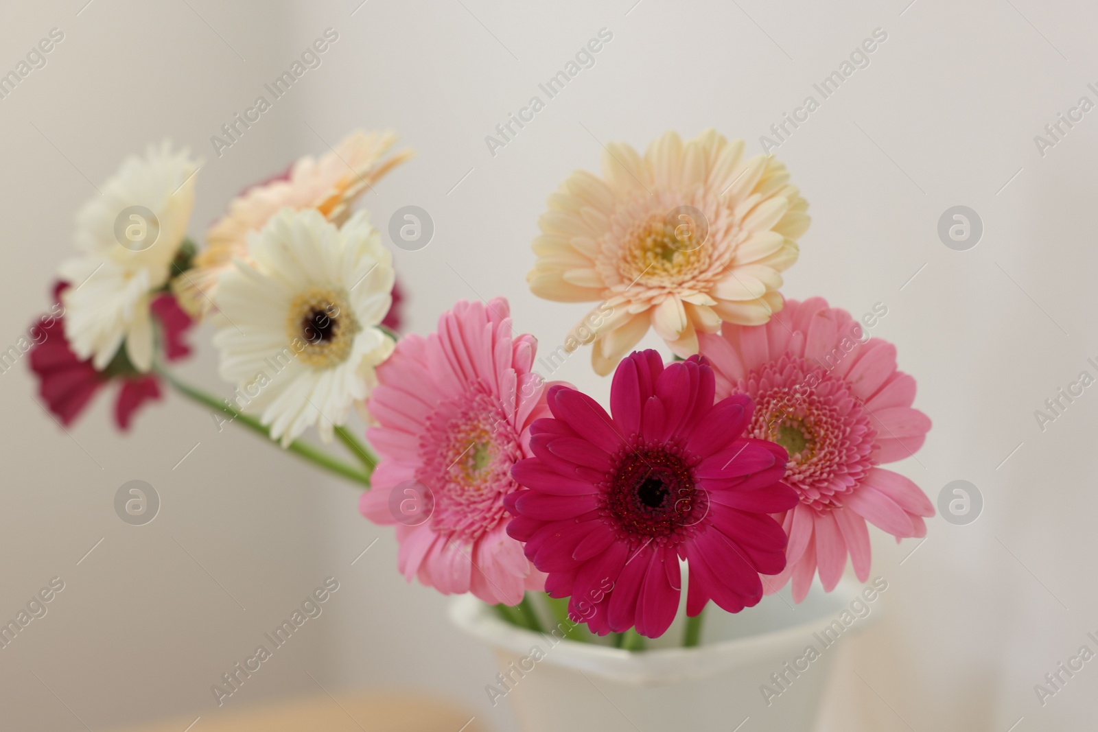 Photo of Vase with beautiful gerbera flowers on blurred background, closeup