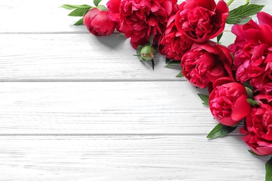 Beautiful blooming peony flowers on wooden background, top view