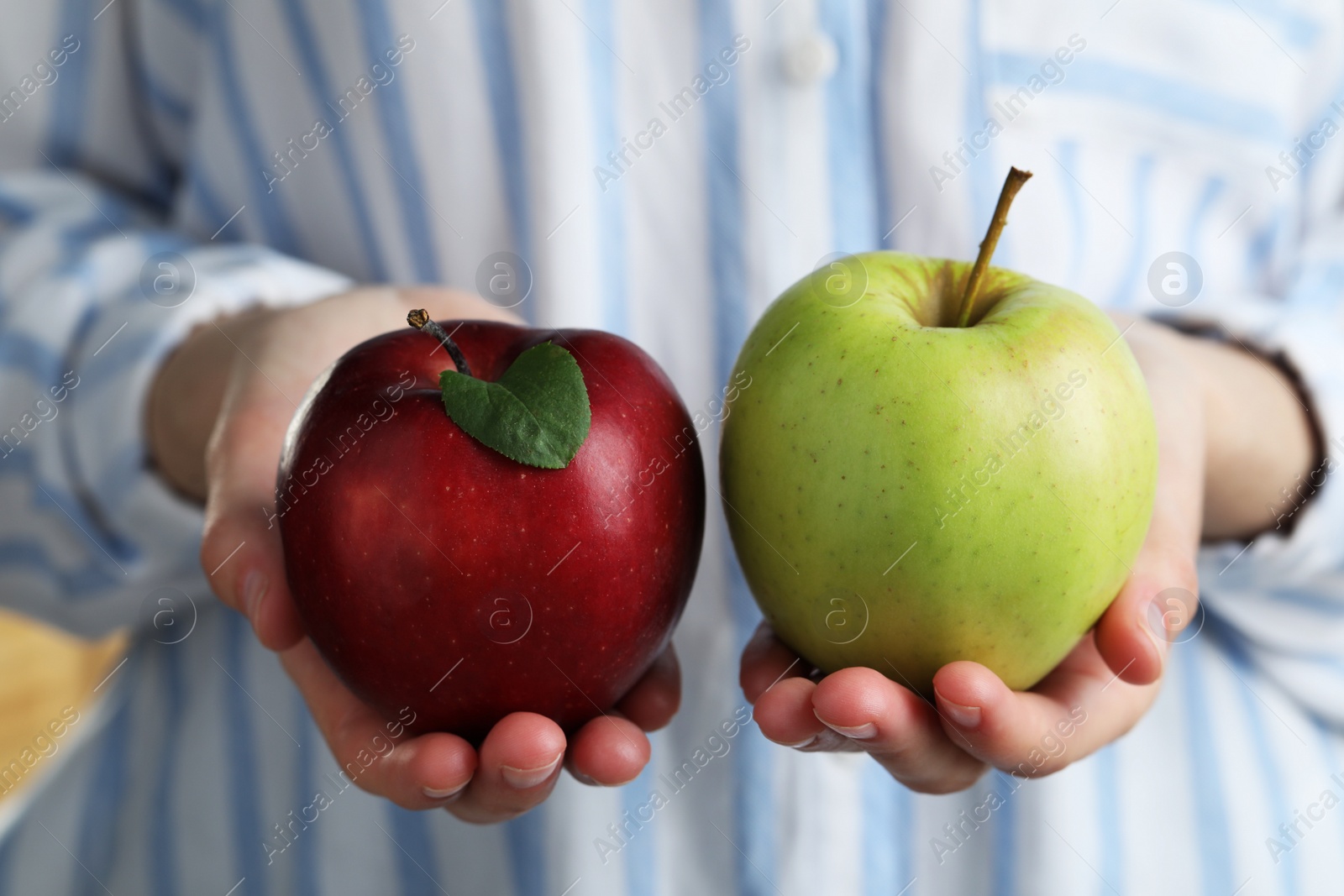 Photo of Woman holding fresh ripe red and green apples, closeup