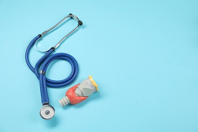Endocrinology. Stethoscope and model of thyroid gland on light blue background, top view. Space for text