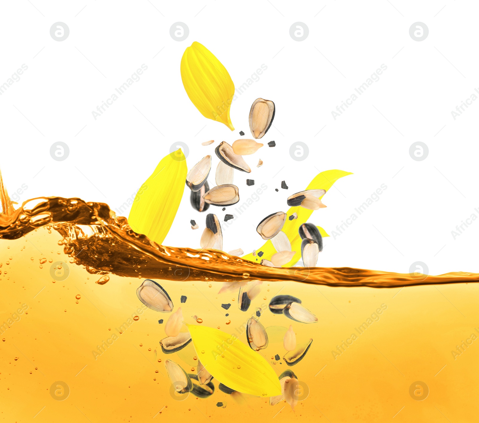 Image of Sunflower seeds and petals falling into cooking oil on white background