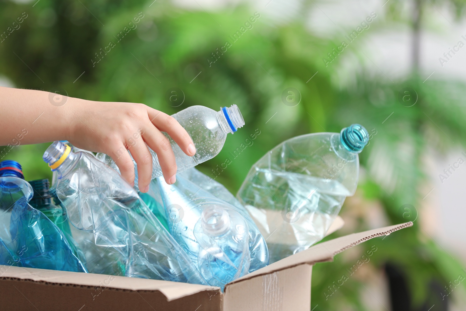 Photo of Woman putting used plastic bottle into cardboard box on blurred background, closeup. Recycling problem