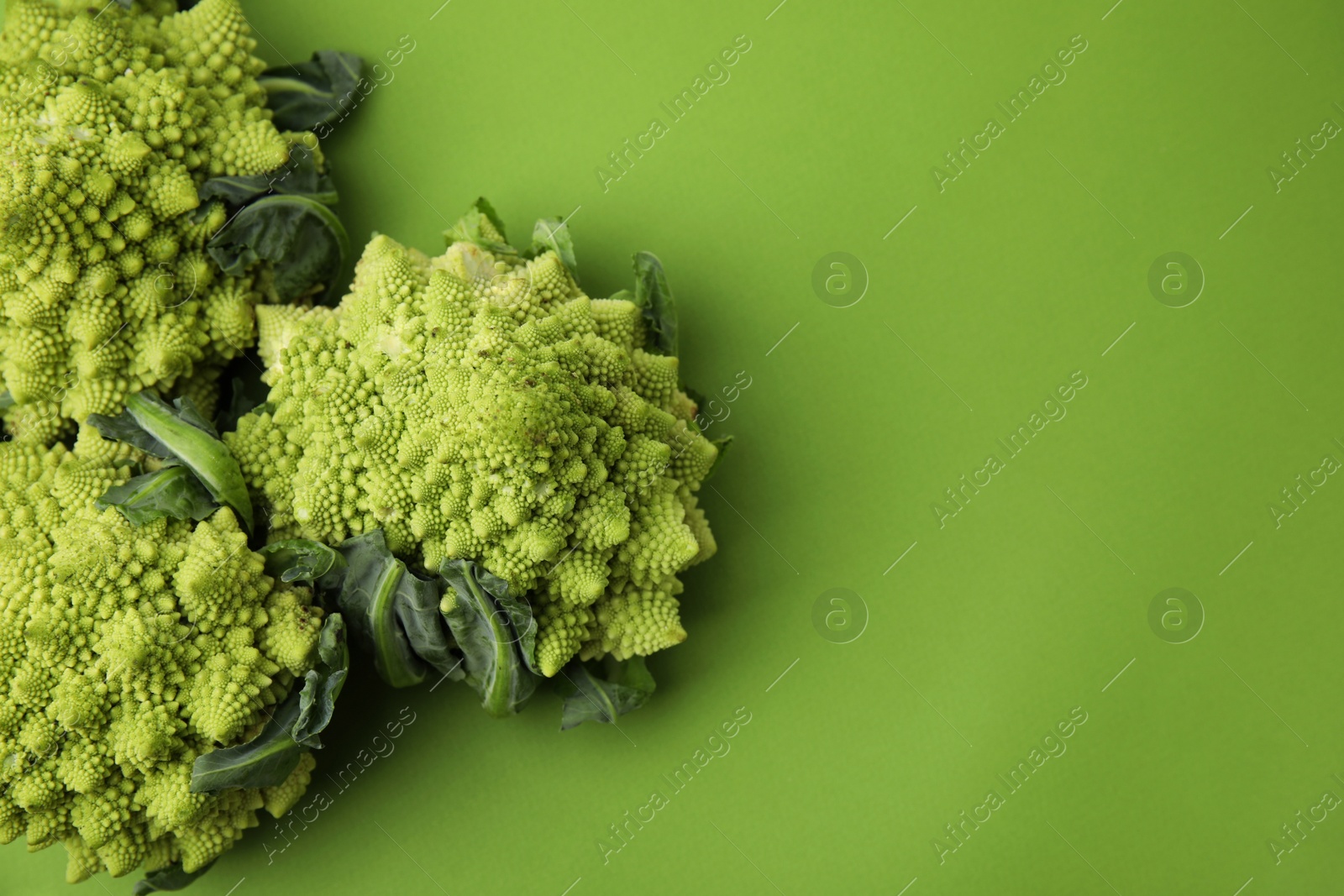 Photo of Fresh Romanesco broccoli on green background, flat lay. Space for text