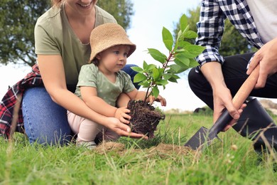Photo of Family planting young tree together in garden, closeup