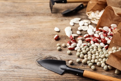 Photo of Different vegetable seeds and gardening tools on wooden table, closeup