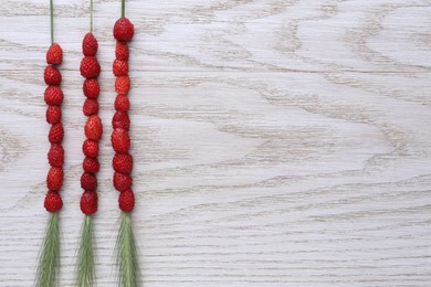 Photo of Grass stems with wild strawberries on white wooden table, flat lay. Space for text