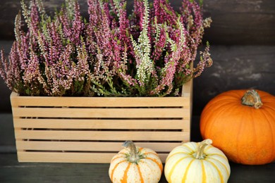 Beautiful heather flowers in crate and pumpkins on table near wooden wall