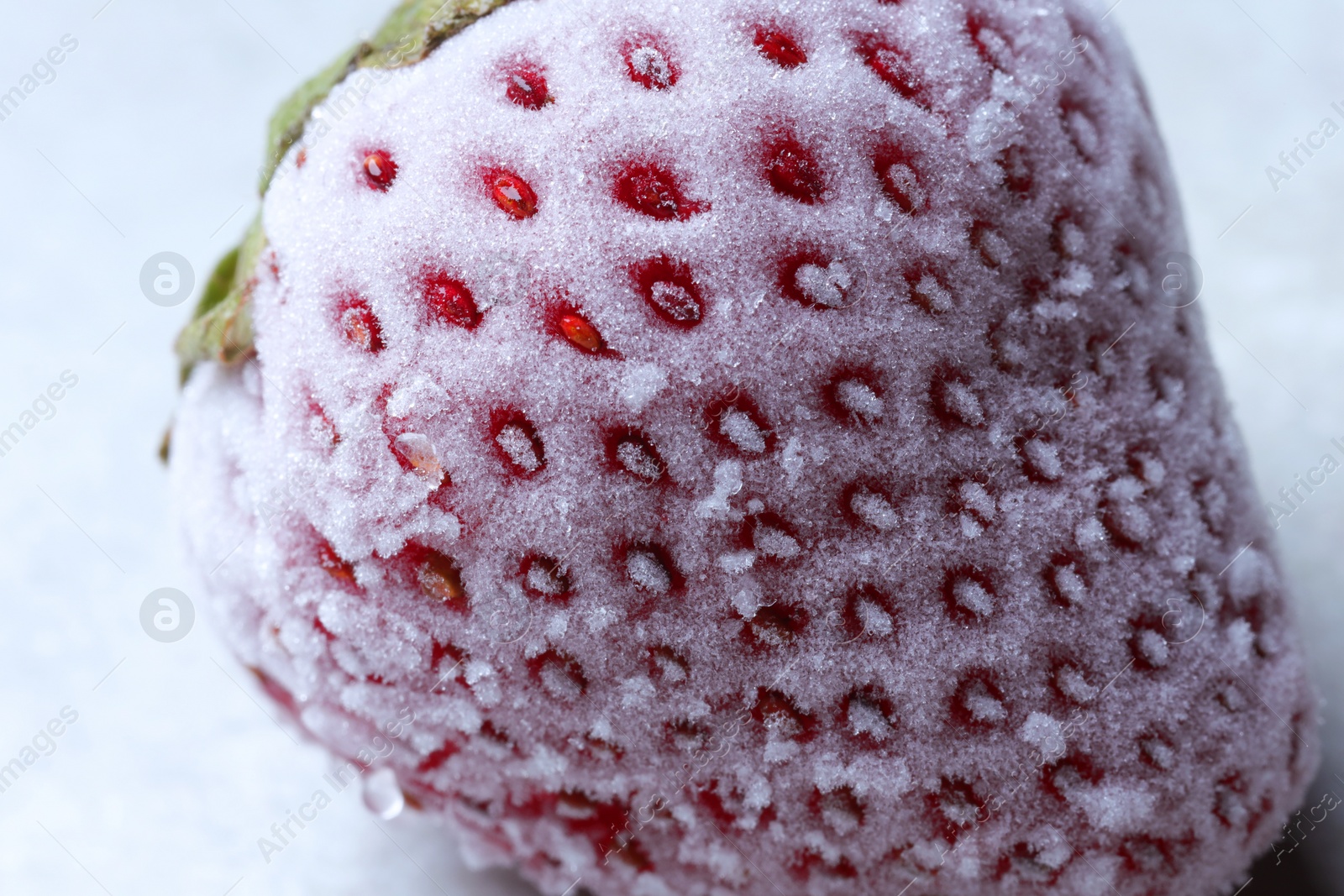 Photo of One frozen ripe strawberry on light table, closeup