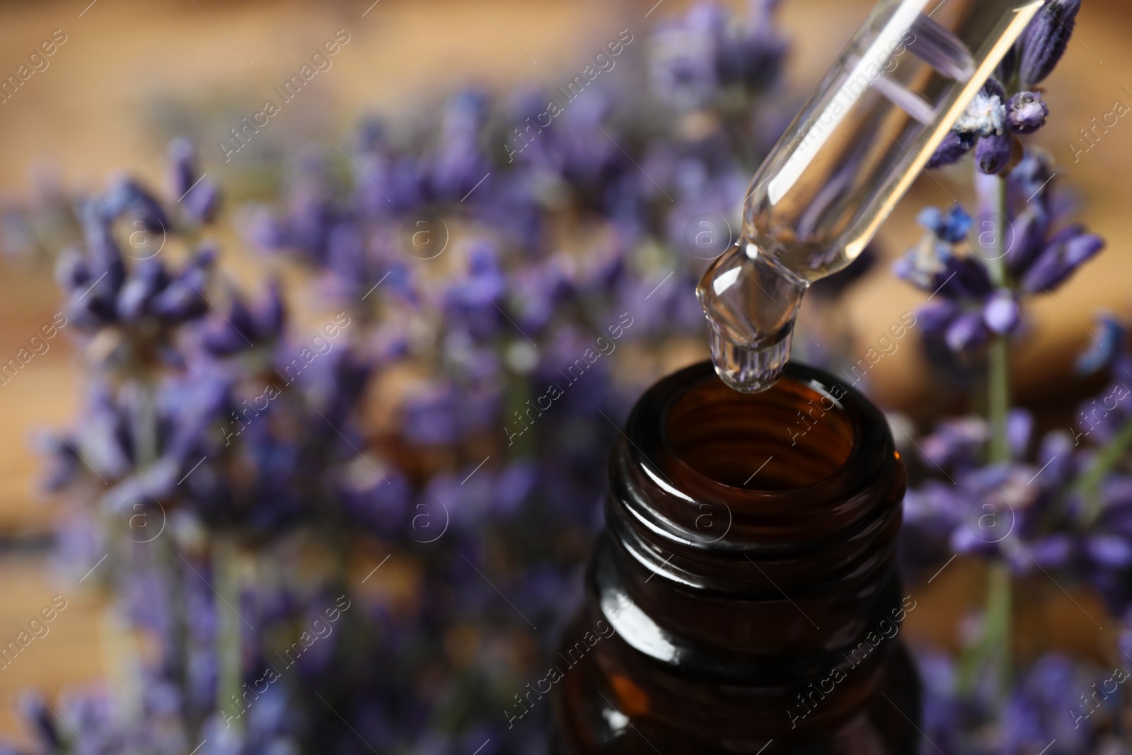 Photo of Dripping lavender essential oil into bottle, closeup. Space for text