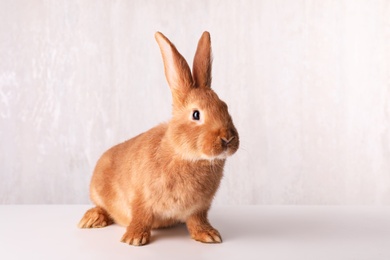 Photo of Cute bunny on white table against light background. Easter symbol