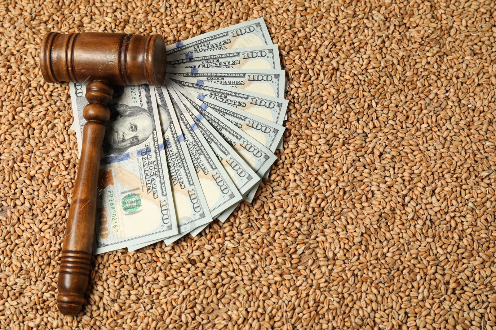 Photo of Agricultural business. Dollar banknotes and wooden gavel on wheat grains, above view. Space for text