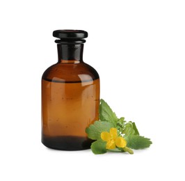 Photo of Bottle of celandine tincture and plant on white background