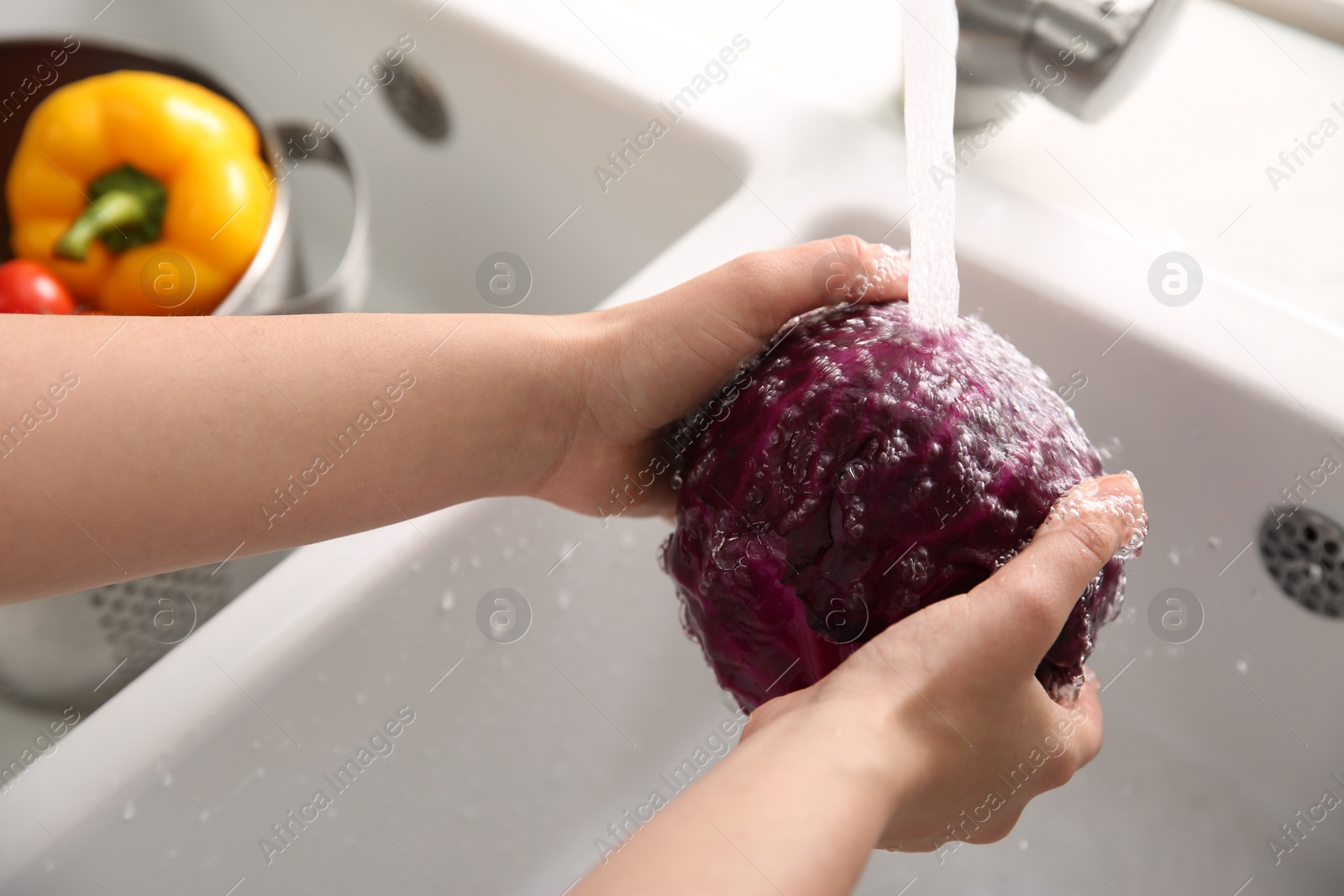 Photo of Woman washing fresh red cabbage in kitchen sink, closeup