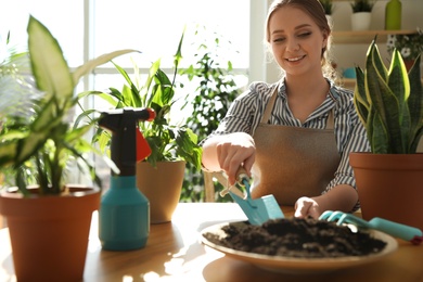 Photo of Young beautiful woman taking care of home plants at table indoors, space for text