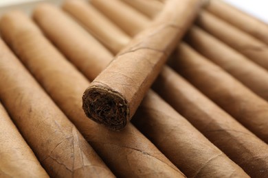 Photo of Closeup view of many cigars. Tobacco smoking