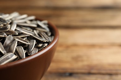 Photo of Raw sunflower seeds in bowl, closeup. Space for text