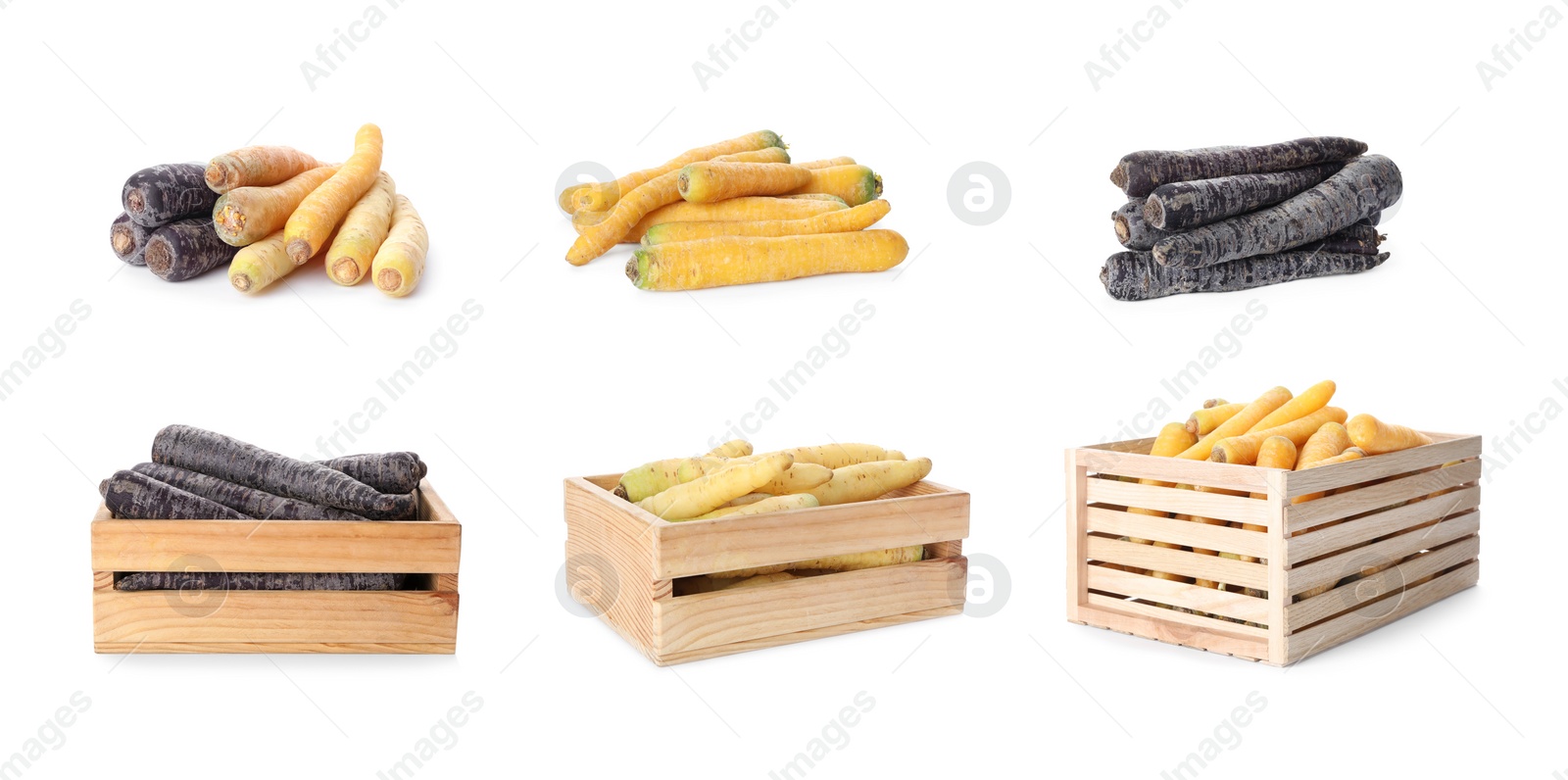 Image of Set of different carrots on white background, banner design