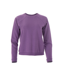 Photo of Purple sweatshirt on mannequin against white background. Stylish clothes